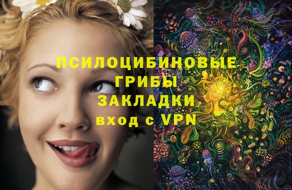 синтетический гашиш Приозерск