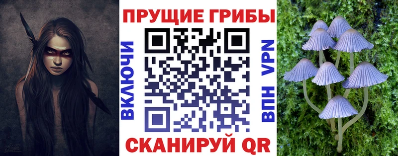 хочу наркоту  OMG рабочий сайт  Псилоцибиновые грибы Cubensis  Асино 