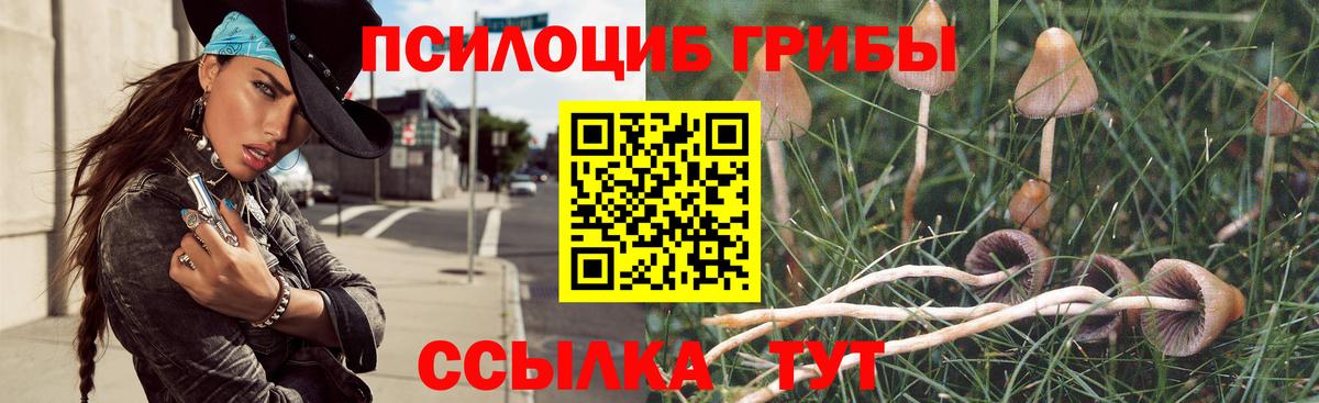 Галлюциногенные грибы Cubensis Асино