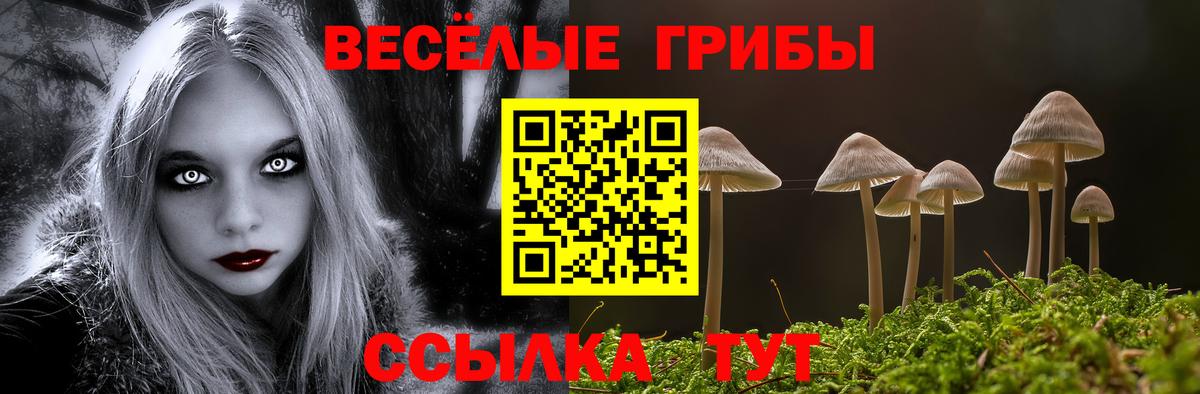 Асино  купить наркотики сайты  Вход с VPN  Псилоцибиновые грибы ЛСД  Псилоцибиновые грибы Magic Shrooms 